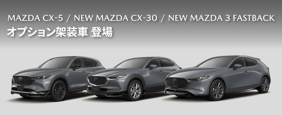 CX-5 CX-30 MAZDA3 エアロ架装車